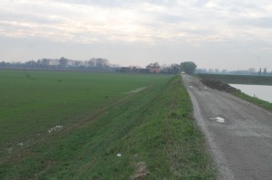 IMG 5070